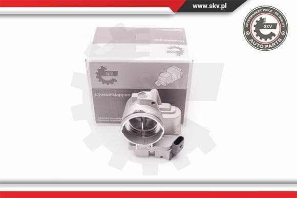 Throttle Body 12SKV061