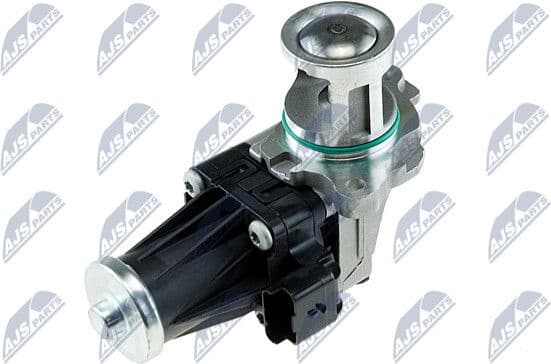 EGR Valve EGR-FR-010