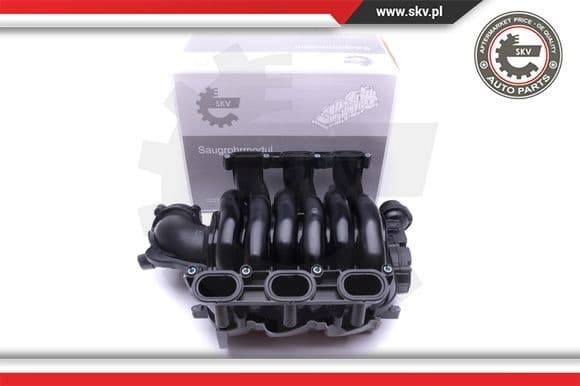 Intake Manifold Module 49SKV002