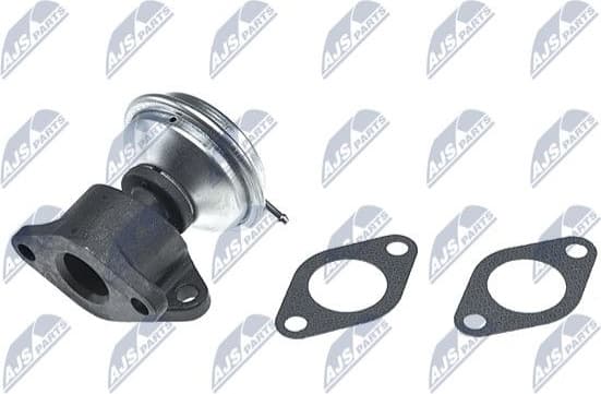 EGR Valve EGR-AU-016