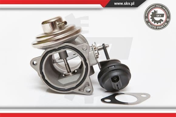 EGR Valve 14SKV081