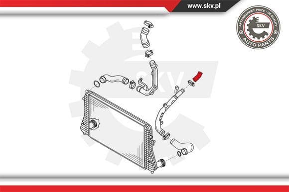 Charge Air Hose 24SKV175 - image 4