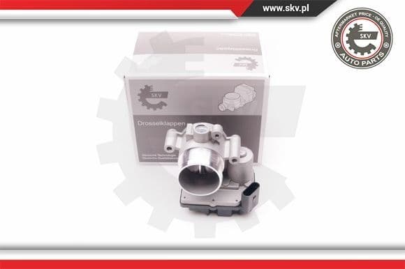 Throttle Body 12SKV064