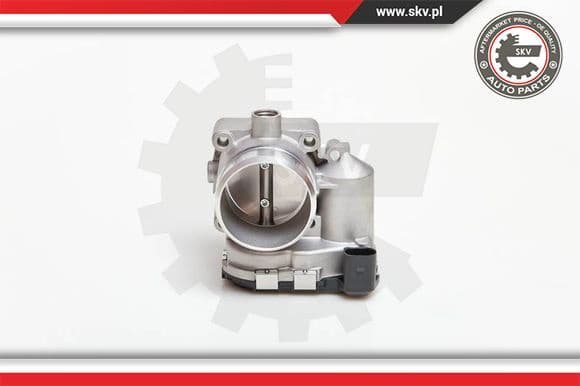 Throttle Body 12SKV039