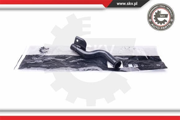 Coolant Pipe 43SKV780