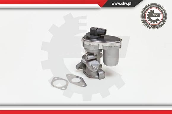 EGR Valve 14SKV038