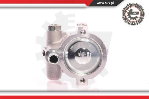 Hydraulic Pump, steering 10SKV021