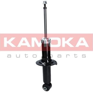 Shock Absorber 2000615
