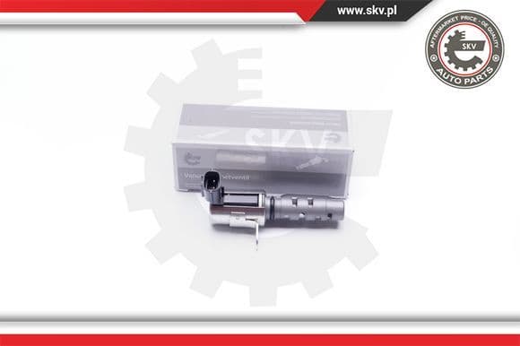 Control Valve, camshaft adjustment 39SKV038