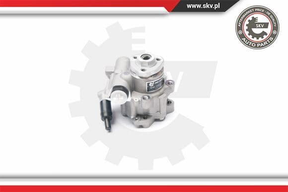 Hydraulic Pump, steering 10SKV016