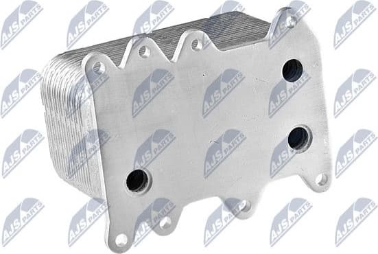 CCL-BM-001 - image 2