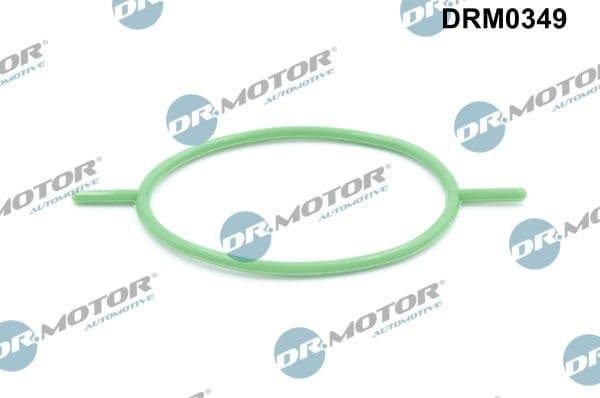 Gasket, vacuum pump DRM0349