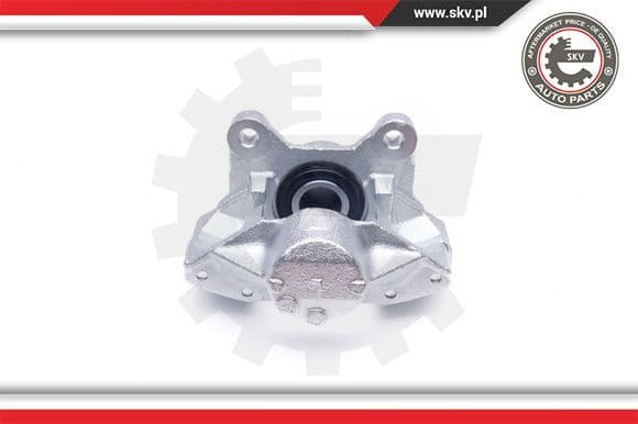 Brake Caliper 42SKV013