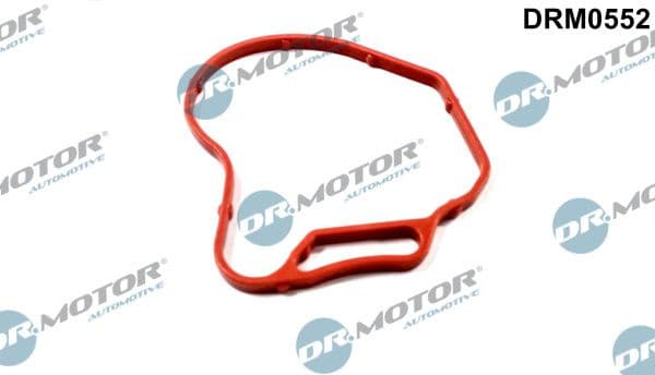 Gasket, vacuum pump DRM0552