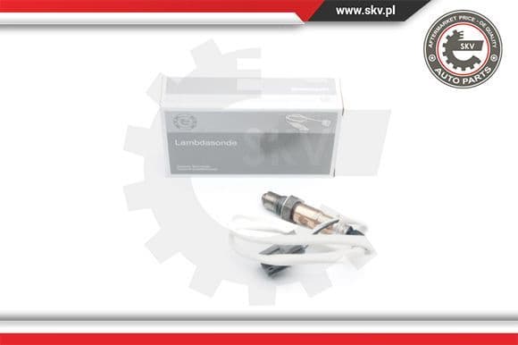 Oxygen Sensor 09SKV648