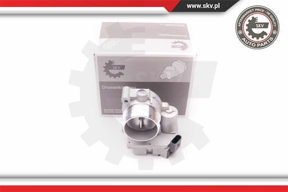 Throttle Body 12SKV056