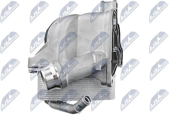 CCL-BM-004 - image 4