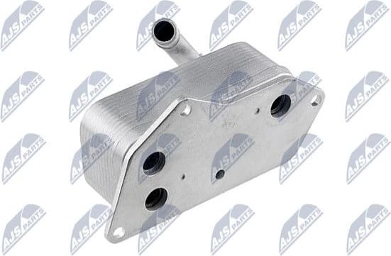 CCL-BM-004A - image 2