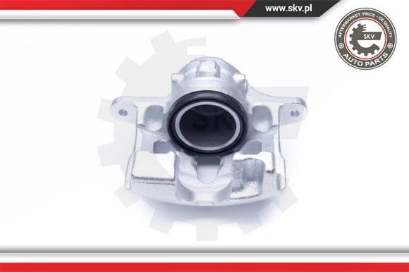 Brake Caliper 34SKV421