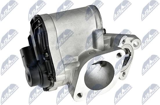 EGR Valve EGR-RE-004