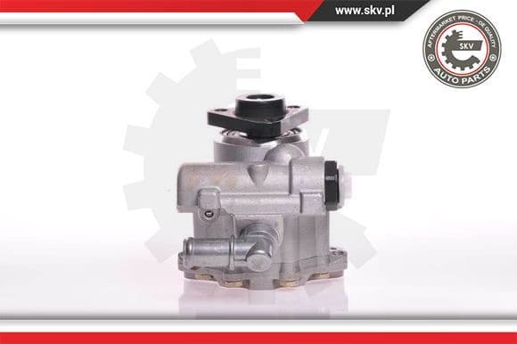 Hydraulic Pump, steering 10SKV102
