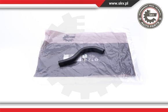 Hose, crankcase ventilation 31SKV117