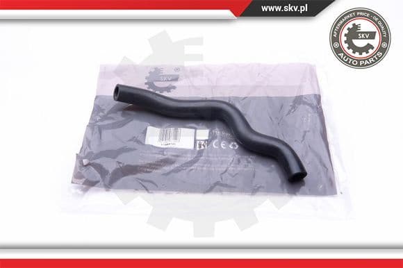 Hose, crankcase ventilation 31SKV121