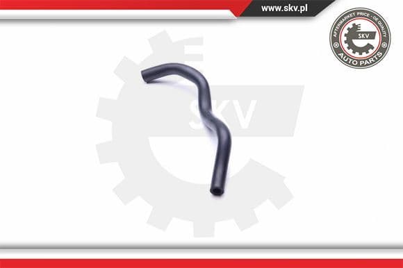 Hose, crankcase ventilation 31SKV123