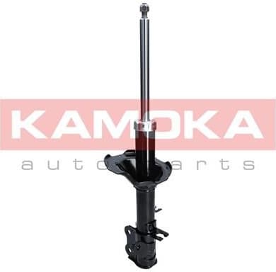 Shock Absorber 2000229