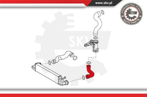 Charge Air Hose 24SKV619 - image 4