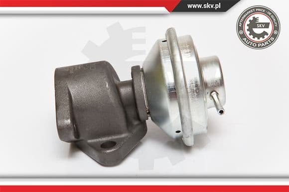 EGR Valve 14SKV051