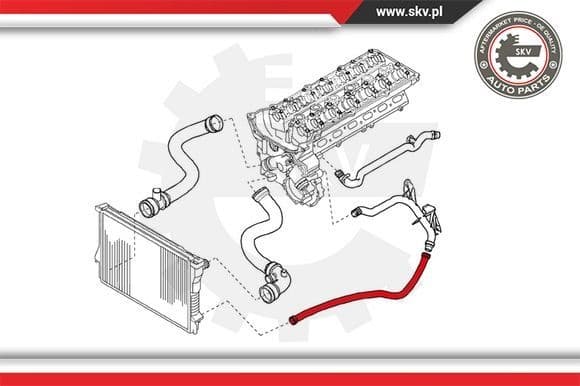 Radiator Hose 24SKV203 - image 2