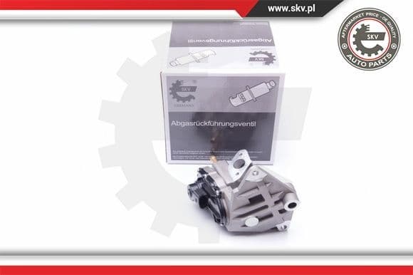 EGR Valve 14SKV087