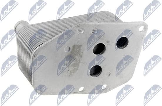 CCL-BM-003 - image 2