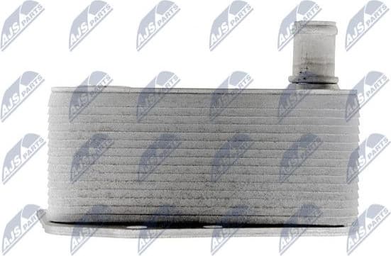 CCL-BM-003 - image 3