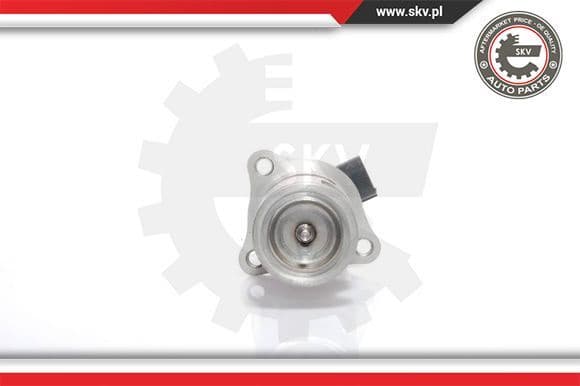 EGR Valve 14SKV021