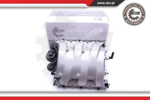 Intake Manifold Module 49SKV013