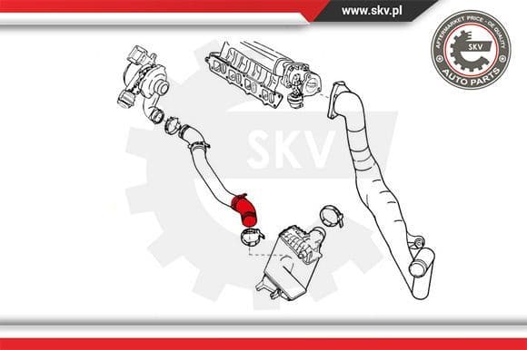 Charge Air Hose 24SKV844 - image 4