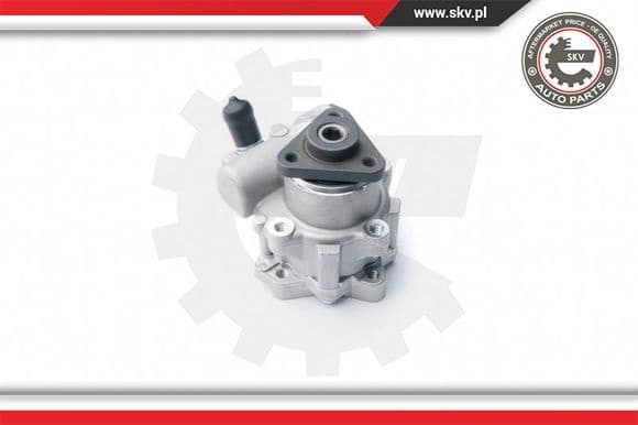 Hydraulic Pump, steering 10SKV122