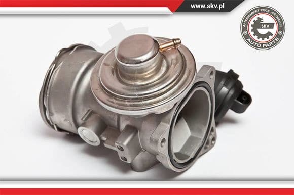 EGR Valve 14SKV024