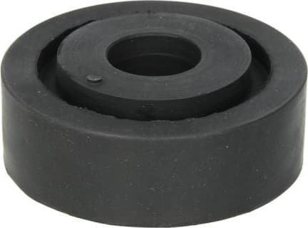 Mounting, control/trailing arm 01160764