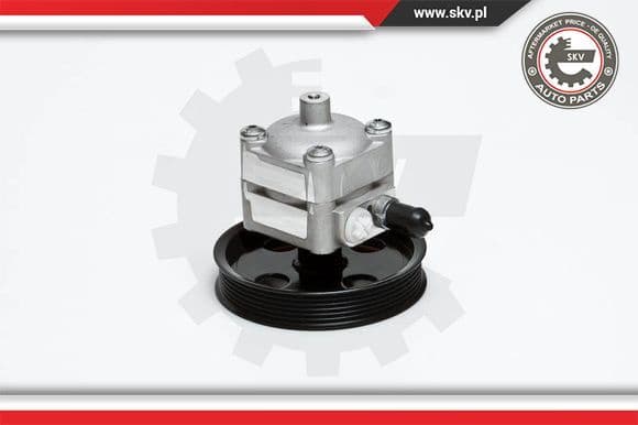 Hydraulic Pump, steering 10SKV028