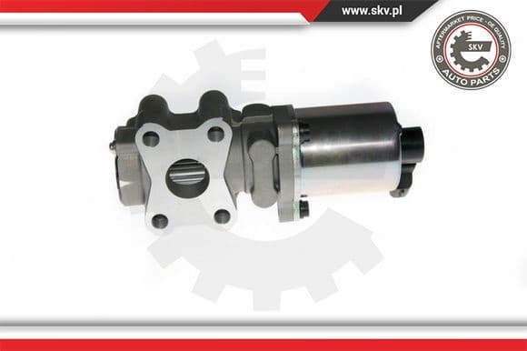 EGR Valve 14SKV088
