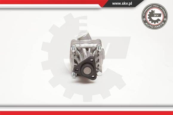 Hydraulic Pump, steering 10SKV005