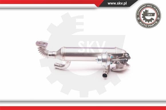 EGR Valve 14SKV119