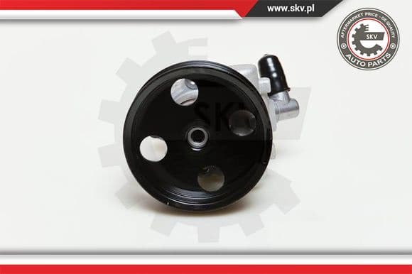 Hydraulic Pump, steering 10SKV039