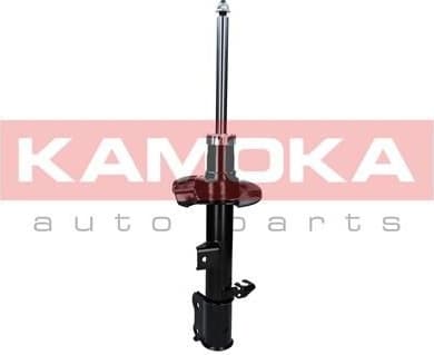 Shock Absorber 2000293