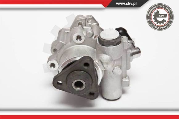 Hydraulic Pump, steering 10SKV015