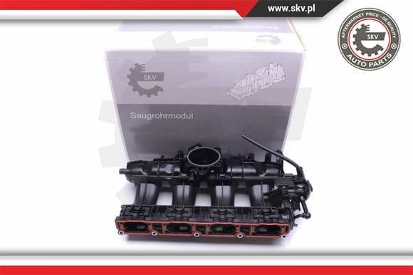 Intake Manifold Module 49SKV010