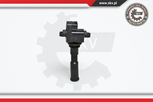 Ignition Coil 03SKV030